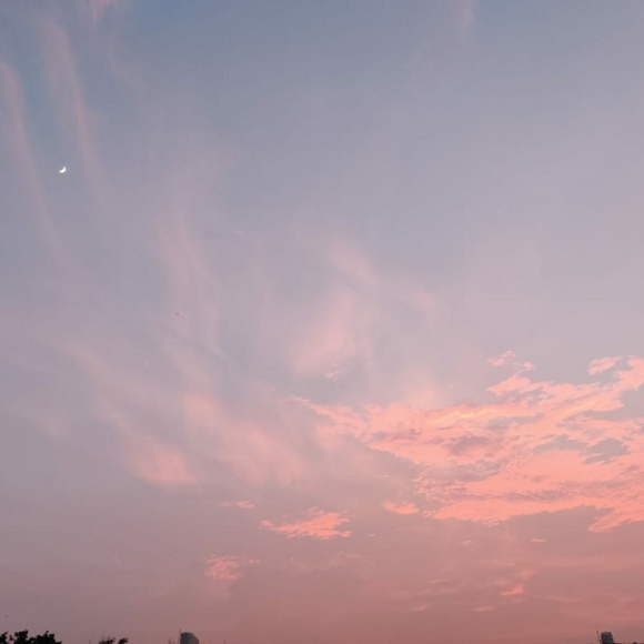 Meet your Posher, Shagun - Picture 1 of 1